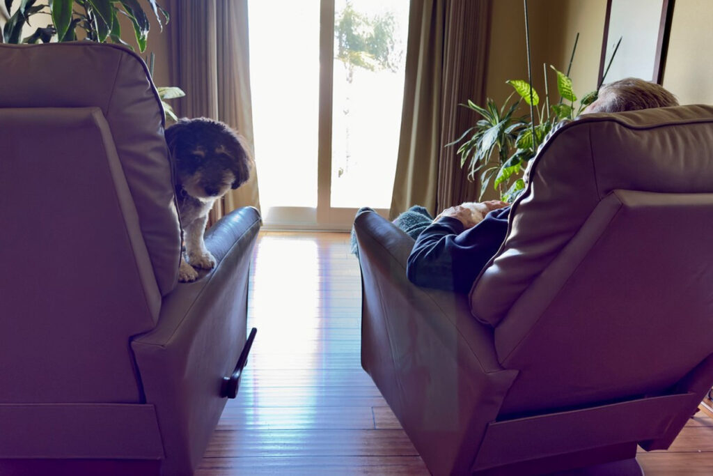 An older man sits in one reclining chair near a windowed door with his dog sitting in the chair next to him.
